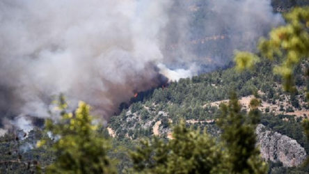Ankara Cumhuriyet Başsavclığı'ndan orman yangınları paylaşımları ile ilgili soruşturma kararı