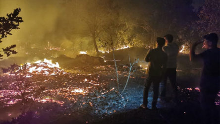 Bodrum'da yangın: Tarım arazilerine sıçradı