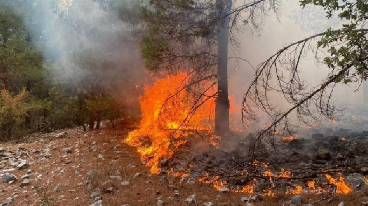 OGM: Bugün çıkan 13 orman yangınını kontrol altına aldık