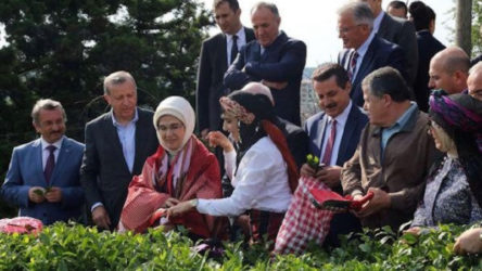 Cemil Çiçek'ten 'Erdoğan'lı yargı eleştirisi: Çay toplamaya, zeytin toplamaya bile gidiyorlar