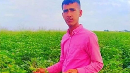 Harran'da iş cinayeti: 18 yaşındaki işçi, pamuk balyasının altında kalarak yaşamını yitirdi