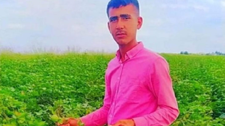 Harran'da iş cinayeti: 18 yaşındaki işçi, pamuk balyasının altında kalarak yaşamını yitirdi