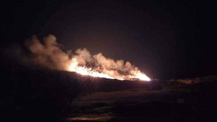 Bodrum'daki yangında 2 dönüm alan zarar gördü