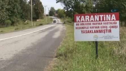 Adana'da 'mavi dil' karantinası
