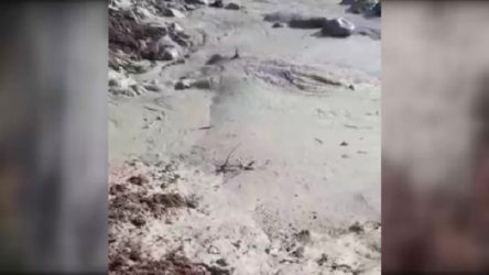 Şebinkarahisar'da siyanür atıklarının toplandığı havuz patladı, atıklar baraja döküldü