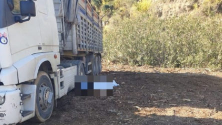 60 yaşındaki işçi, odun yüklediği kamyondan düşerek hayatını kaybetti
