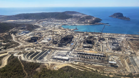 Akkuyu Nükleer Santrali'nde işçiler yemekten zehirlendi: Sayının 6 bin olduğu iddia edildi