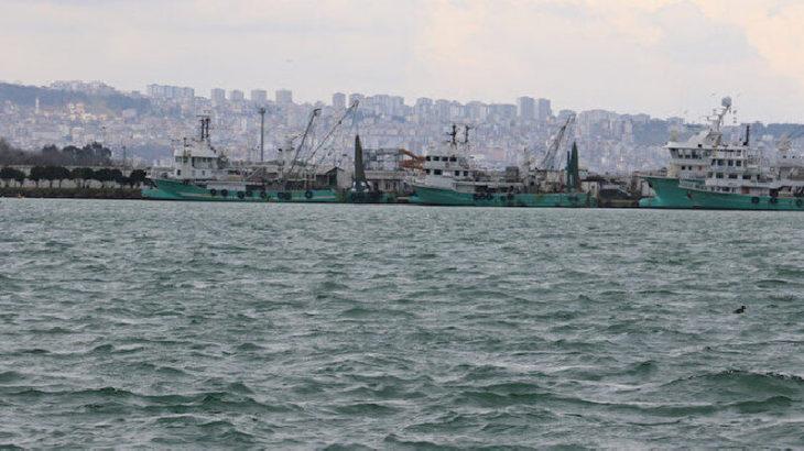Bakanlıktan açıklama: Karadeniz kıyısında balık avı yapılamayacak