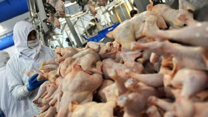 Bolu'da tavuk fabrikasındaki işçiler 'ramazan' nedeniyle aç bırakılıyor!