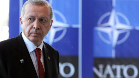Erdoğan'dan NATO övgüsü