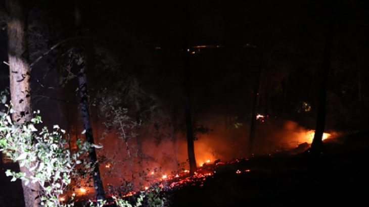 Kozan'da 6 noktada orman yangını
