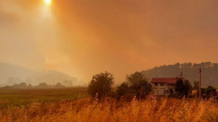 Marmaris'teki orman yangınında son durum