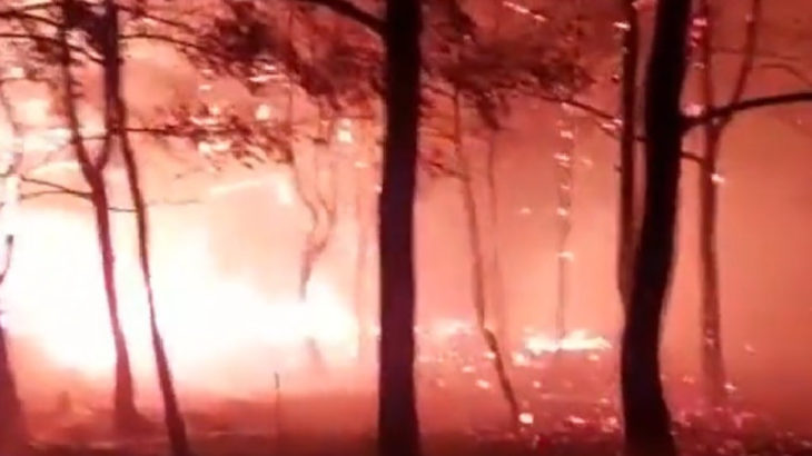 Marmaris'te orman yangını: Alevler yayılıyor