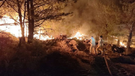 Datça'daki yangında 2. gün: Yollar kapatıldı, evler tahliye edildi, müdahale sürüyor