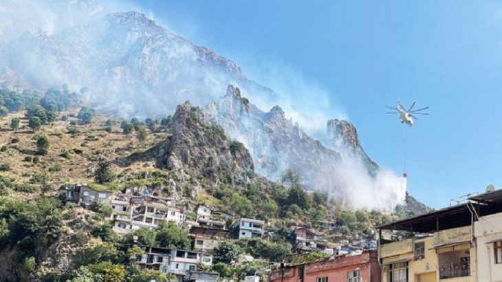 Mersin, İzmir, Hatay ve Burdur'da orman yangını