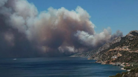 Midilli Adası'ndaki orman yangını evlere sıçradı