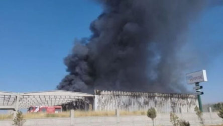 Malatya'da kayısı depolama fabrikasında yangın