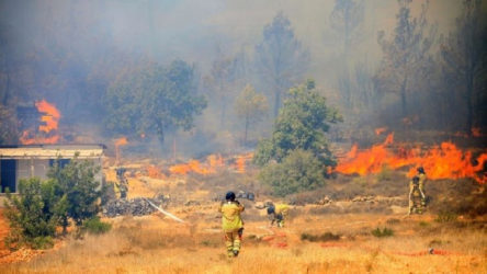 Mersin'de orman yangını: 110 ev boşaltıldı