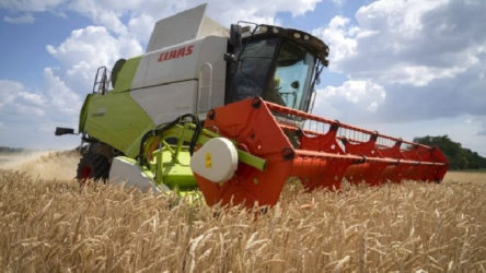 Polonya ve Romanya, AB’den ucuz Ukrayna buğdayına karşı koruma istedi