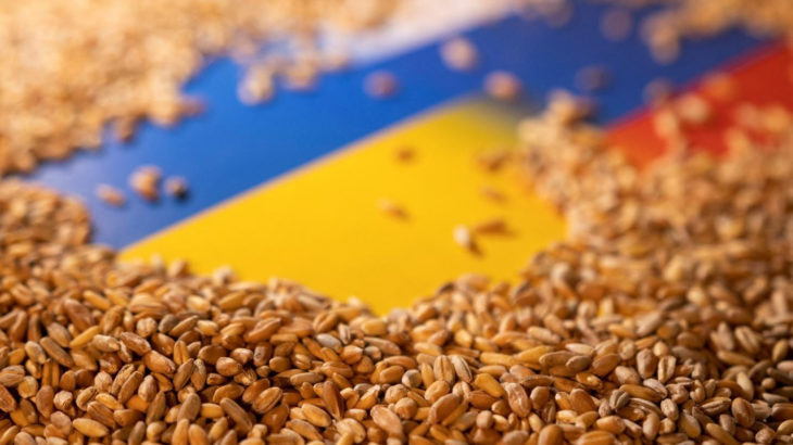 5 AB ülkesinden Brüksel’e: Biriken Ukrayna tahılını satın alın