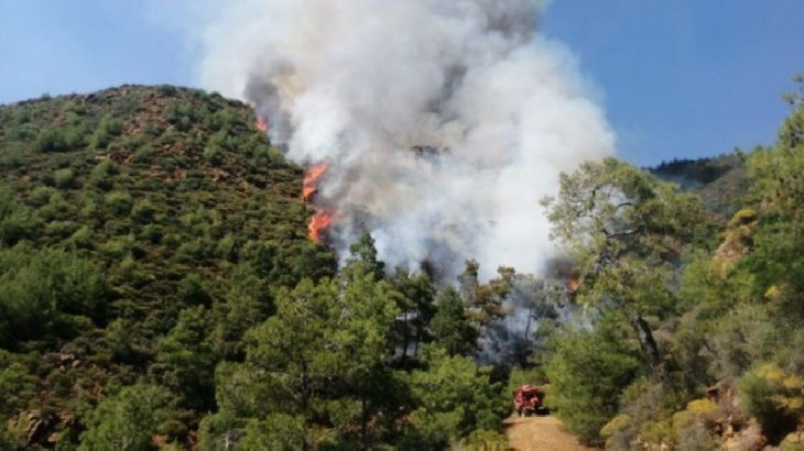 Marmaris'teki orman yangınının bir cansız bedenin yakılması nedeniyle çıktığı belirlendi