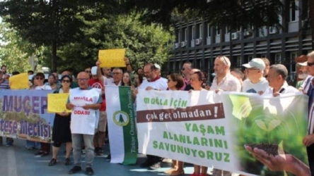 Muğla'da Akbelen Ormanı için protesto