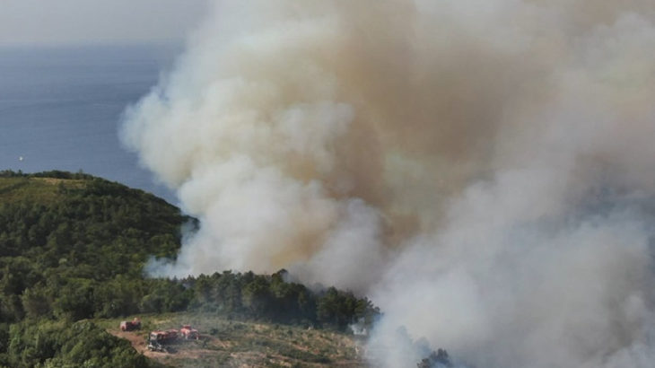 Beykoz'da iki farklı bölgede orman yangını: Valilik'ten açıklama geldi