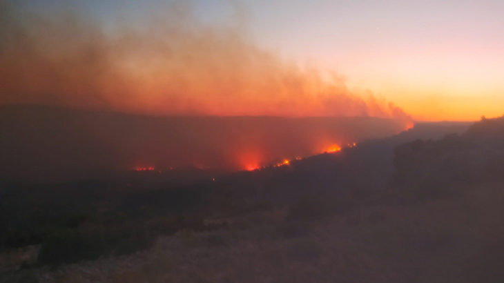 Üç kentteki orman yangınları sürüyor