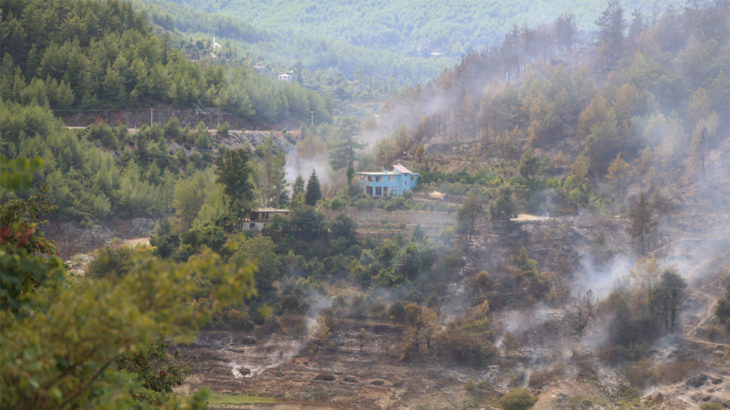 Alanya'da orman yangını: Bölgedeki 13 ev tahliye edildi